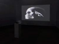 a projection of a skull in a dark room