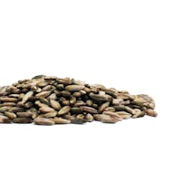 a pile of sunflower seeds on a white background