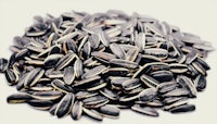 a pile of black sunflower seeds on a white background