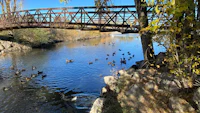 a bridge over a river with ducks swimming in it