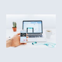 a person holding a phone next to a laptop and a cactus