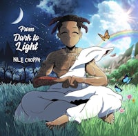 the cover of the album dark to light by ne e choppa