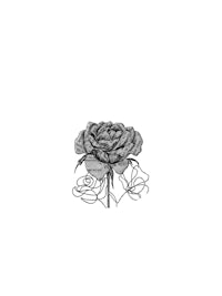 a black and white drawing of a rose