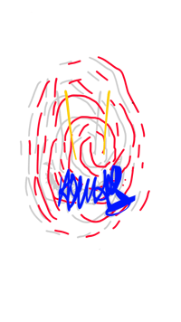 a drawing of a circle with blue and red lines