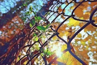 the sun shines through a chain link fence