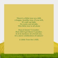 there's a little tree on a hill