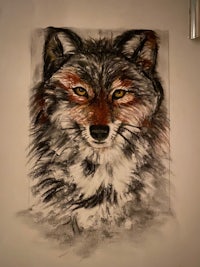 a drawing of a wolf on a wall