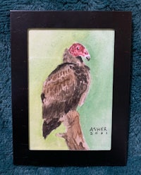 a watercolor painting of a vulture sitting on a branch