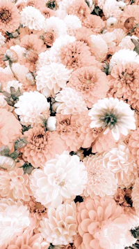 peach and white flowers in a field