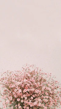 pink flowers in a vase on a white background