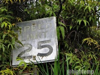 a speed limit sign in a bush