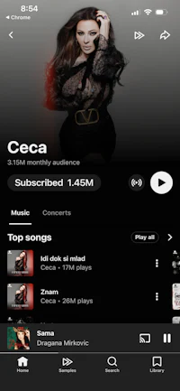 ceca music player - screenshot