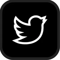 a black and white twitter icon with a white bird