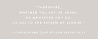 a quote that says, therefore you eat or drink or whatever you do or do whatever you do to the elohim