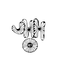 a black background with white flowers on it