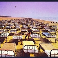 red hot chilli peppers album cover