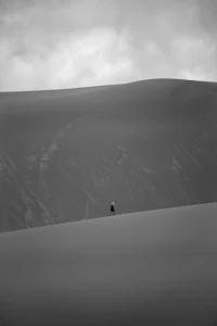 a black and white photo of a person walking across a sand dune