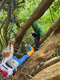 a group of children climbing a tree in the forest