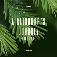 a raindrop's journey part 2