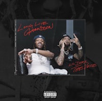 lil wayne and lil wayne on the cover of their album, lil wayne and lil