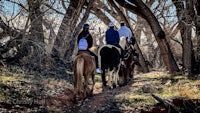 a group of people riding horses through a wooded area