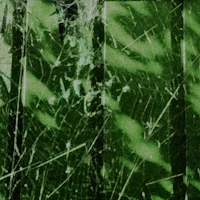 a black and green photo of a tree