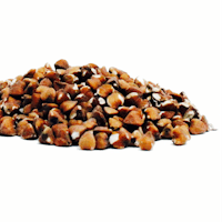 a pile of brown seeds on a white background