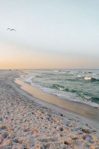 a beach with sand and seagulls flying over it