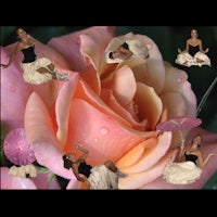 a collage of people on a pink rose