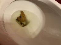 a toilet bowl with a worm in it