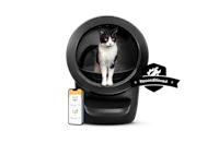 a cat sitting inside of a cat litter box