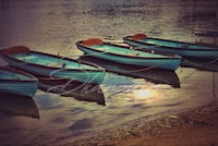 a group of rowboats are docked on the shore