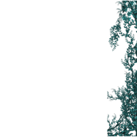 a black background with green leaves on it