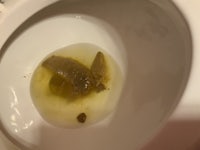a toilet bowl with a piece of fish in it