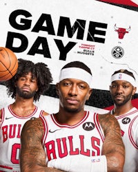 chicago bulls game day poster