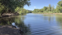 a river surrounded by trees on a sunny day
