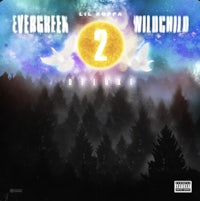 evergreen - wildwood album cover