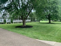 a lawn with grass and trees in front of a house