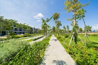 a pathway leading to a green area with trees and plants