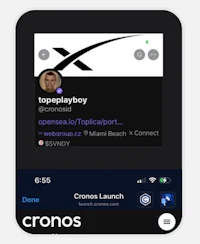 a screenshot of the topplayboy twitter app