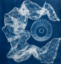 an image of a jellyfish on a blue background