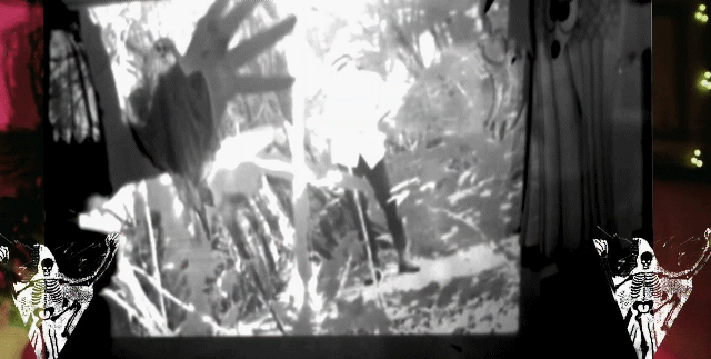 DEATH TO DIM HETERONYMS