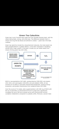a diagram of the oregon tax collection process