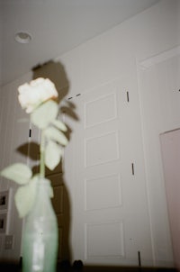 a vase with a rose in it
