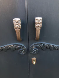 a pair of door handles on a black door