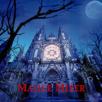 the cover of malice mizer's book