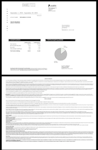 a black and white image of a financial report