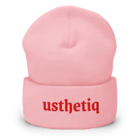 a pink beanie with the word pithesu on it
