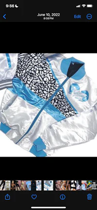 a picture of a jacket with a blue and silver design