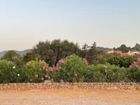 a person is sitting on a bench in front of a flower garden
